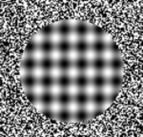 Medium_avatar_1