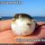 Thumb_funny-pictures-unhappy-puffer-fish
