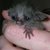 Thumb_2956