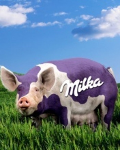 Medium_milka_pic