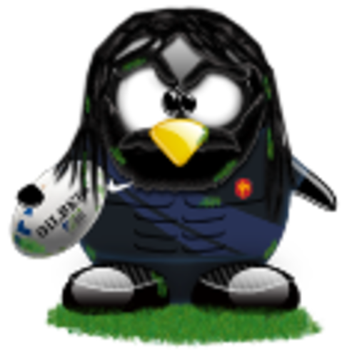 Medium_brunocb-tux-chabal-xv-de-france-2007-6812