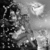 Thumb_517776z8f43ptyq6_1_
