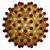 Thumb_imagevirus