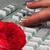 Thumb_1693e392370549e406704756c3ba4ea9_web.gif