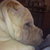 Thumb_29062010279