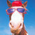 Thumb_653-funny-horse-hat_midi