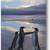 Thumb_wildlifepingu