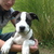Thumb_19092010003