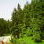 Thumb_pict0045
