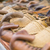 Thumb_wallpaper_img_2701