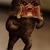 Thumb_meh.ro1472