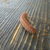 Thumb_dsc00035