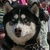 Thumb_ekstremni-sportovi-24984