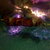 Thumb_06012009046
