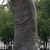 Thumb_strange-statues_-_bilakh2