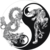Thumb_graphic12