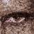 Thumb_creative-ads03