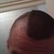 Thumb_imag0213