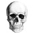 Thumb_skull_illustration_by_yungtyrant
