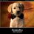 Thumb_gospodjice-20883