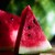 Thumb_watermelon