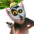 Thumb_king_julian__2