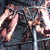 Thumb_dsc02904