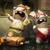 Thumb_77766-1-screenshot