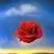 Thumb_images