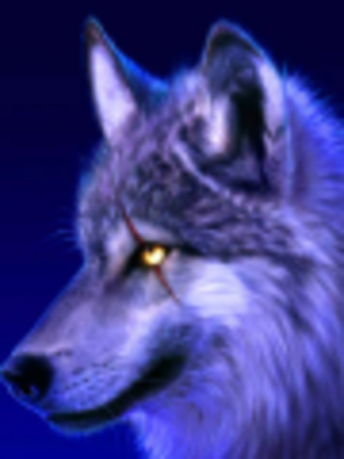 Medium_avatar_1067