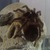 Thumb_image098bnn