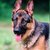 Thumb_39328_1539218037887_1157998280_1538878_5568709_n