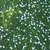 Thumb_26113_406445156018_693996018_4971500_6656288_n