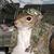 Thumb_22267404_scaled_334x313