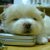 Thumb_29838_395391346851_377366401851_4631989_631027_n