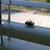 Thumb_30092009603