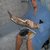 Thumb_11456_1289601603960_1347818563_821075_4646536_n