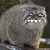 Thumb_1286216461532