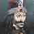 Thumb_dracula