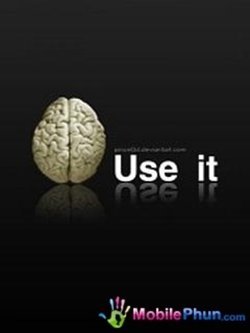 Medium_brain