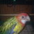 Thumb_image014