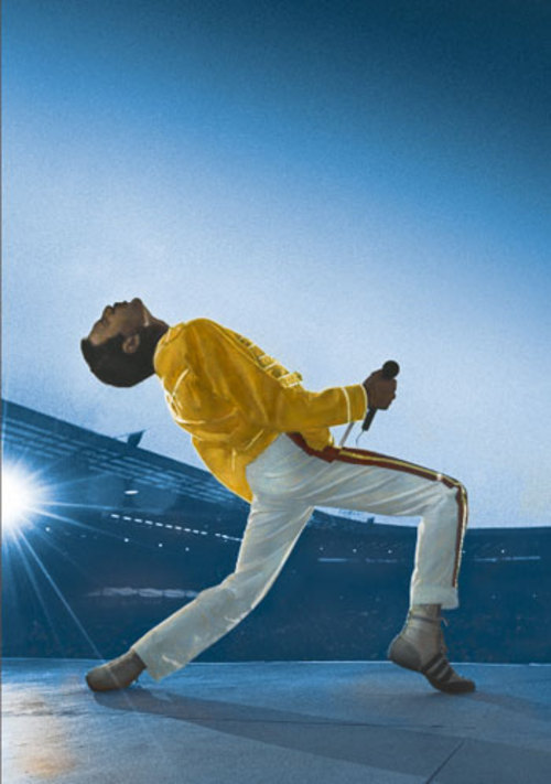 Medium_freddie-123