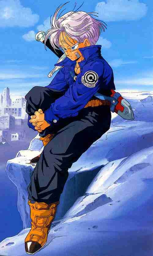 Medium_trunks05