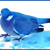 Thumb_3260949168_1567284cfa