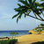 Thumb_1208-cmc-sharm-el-sheikh_original
