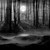 Thumb_darkforest