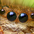 Thumb_3023548025_64b27b8e8c