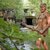 Thumb_tarzan_in_lithuanian_forest_7