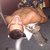 Thumb_207607_1796728931571_1640165901_1749353_3453446_n