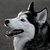 Thumb_46655_1596029785991_1393365669_31601227_6623916_n